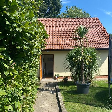 Nordwind Sjut Apartment Warnow  Bagian luar foto